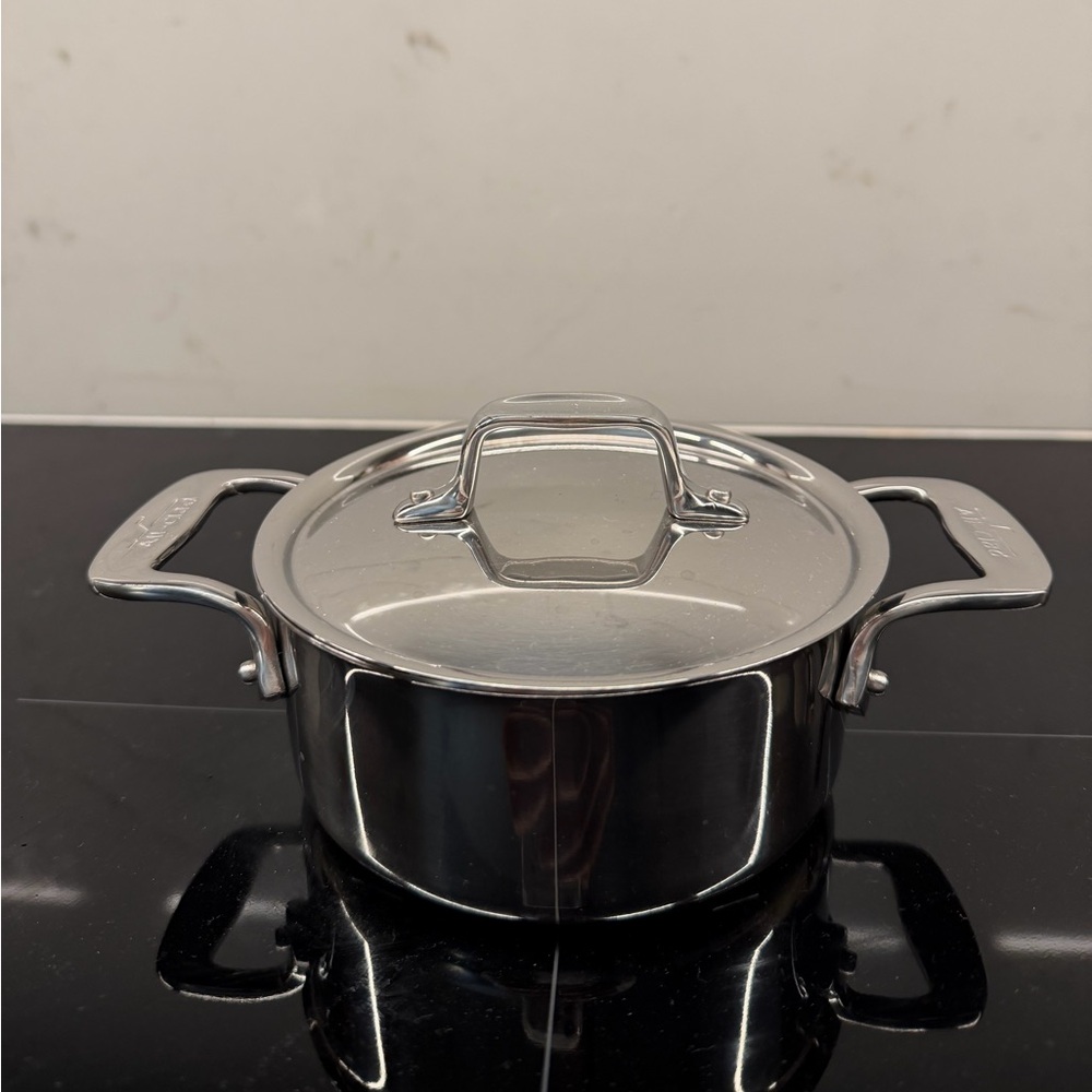 Elegant Silver Cookware by All-Clad